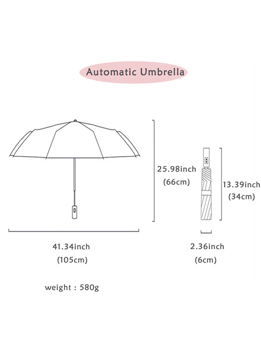 Interelements Vollautomatischer Regenschirm – Wetterfest & in vielen Farben erhältlich!